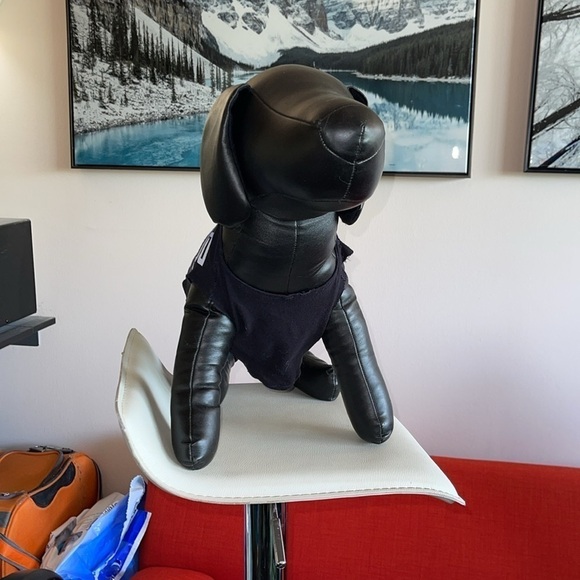 Re made Sanro pet t-shirt size medium for dog or cat which I re creating pet top - Picture 6 of 6